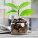 Three Steps to Make An Investment Plan